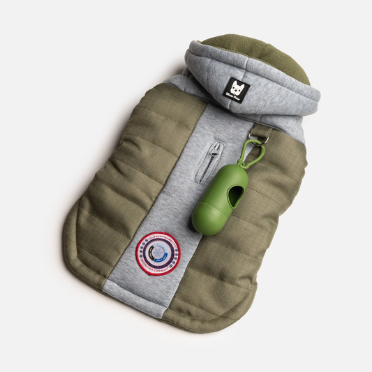 Lyanna Dog puffer Jacket with hood - Green