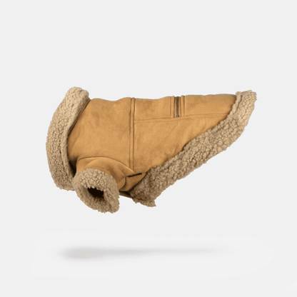 suede leather Dog jacket