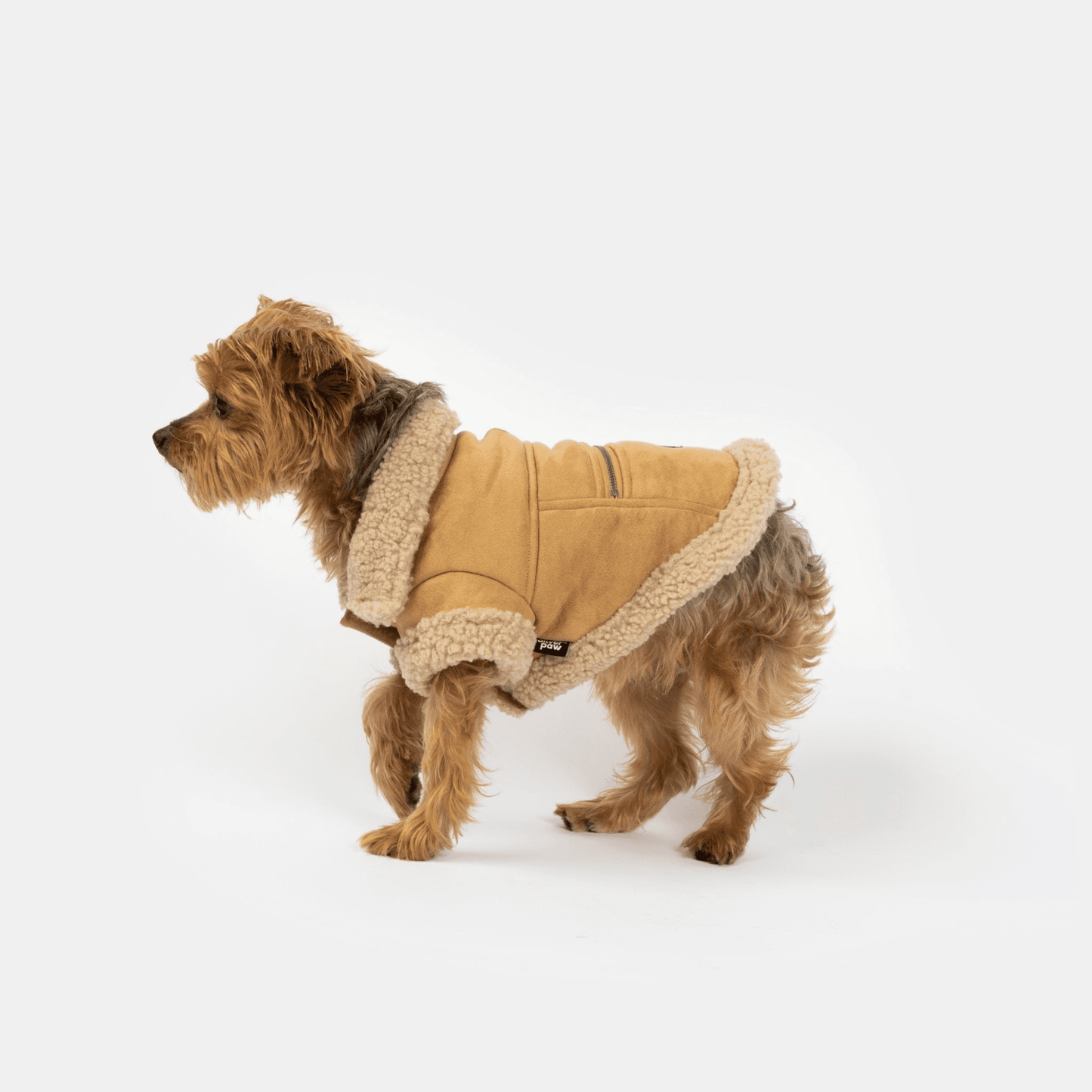 suede leather Dog jacket