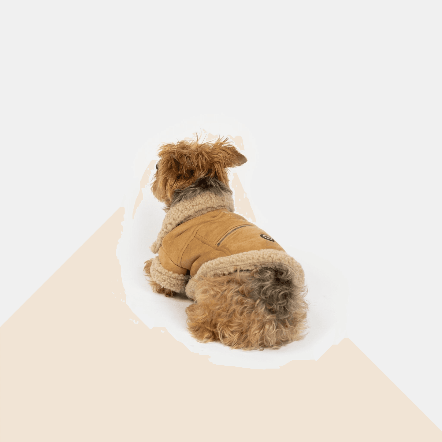 suede leather Dog jacket