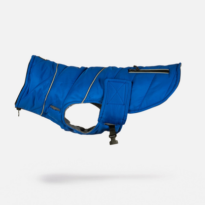 Blue Dog Jacket -harness attachment