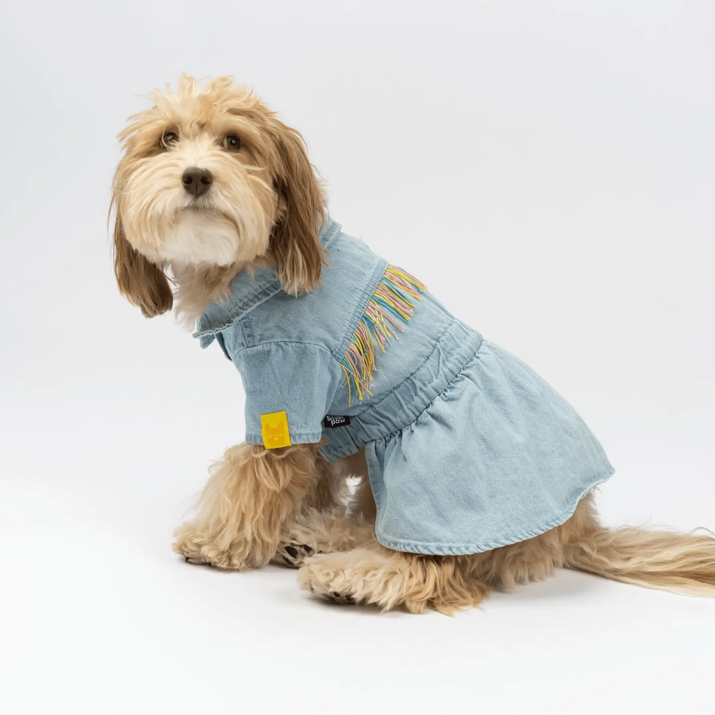 Denim Dog Dress