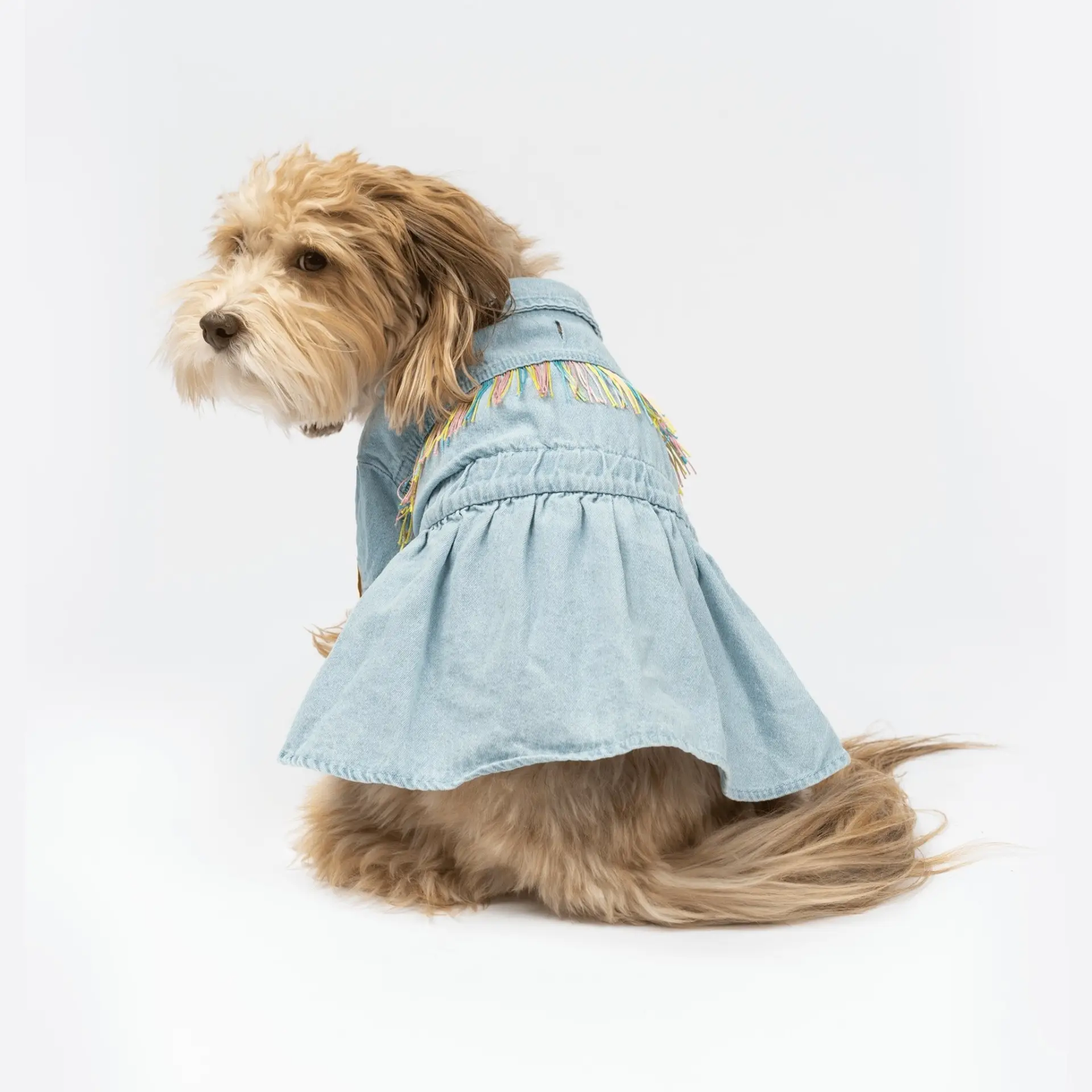 Denim Dog Dress