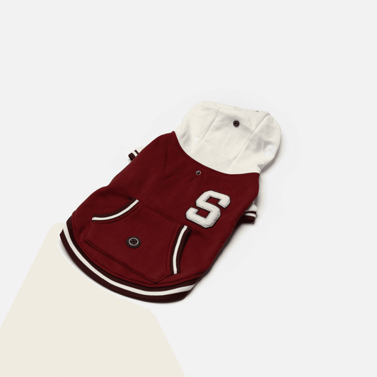 dog varsity jacket