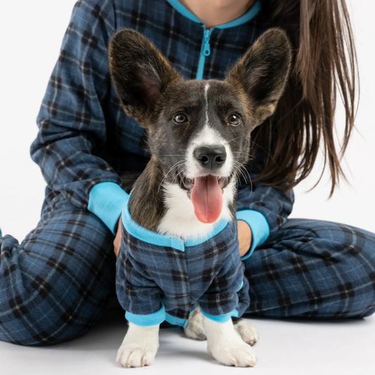 Dog / Parent Pajama Bundle - Blue