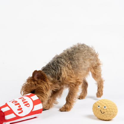 Pupcorn Squeaky Dog Toy 2-in-1