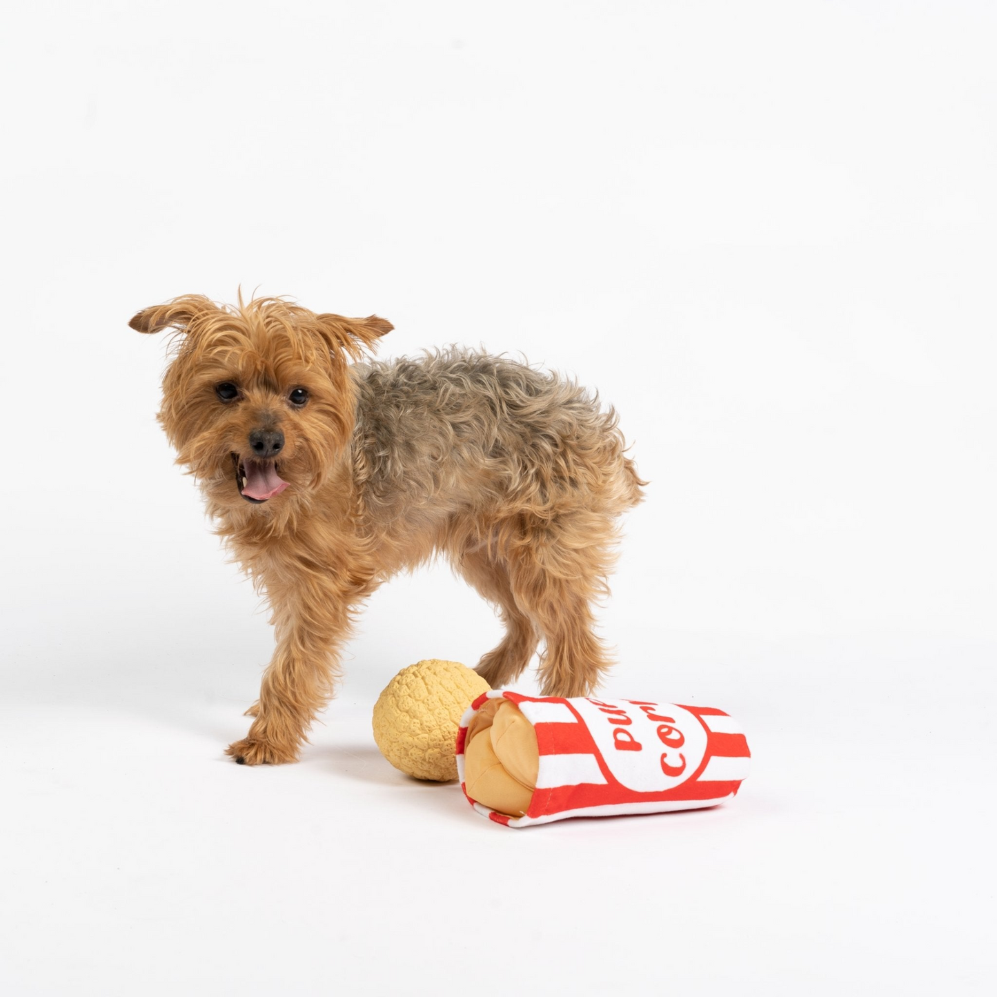 Pupcorn Squeaky Dog Toy 2-in-1