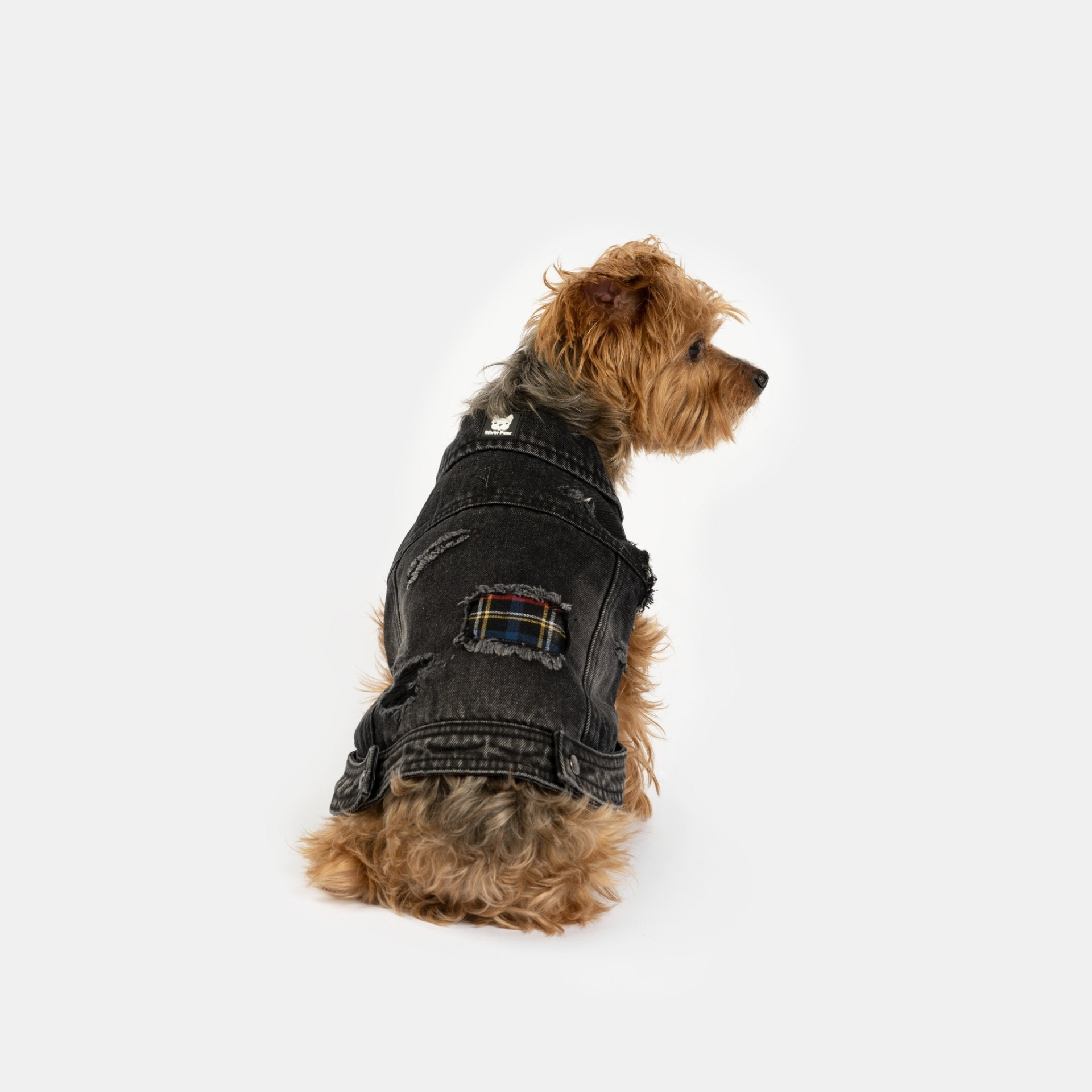 Denim Dog Jacket