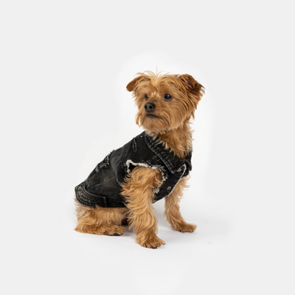 Denim Dog Jacket