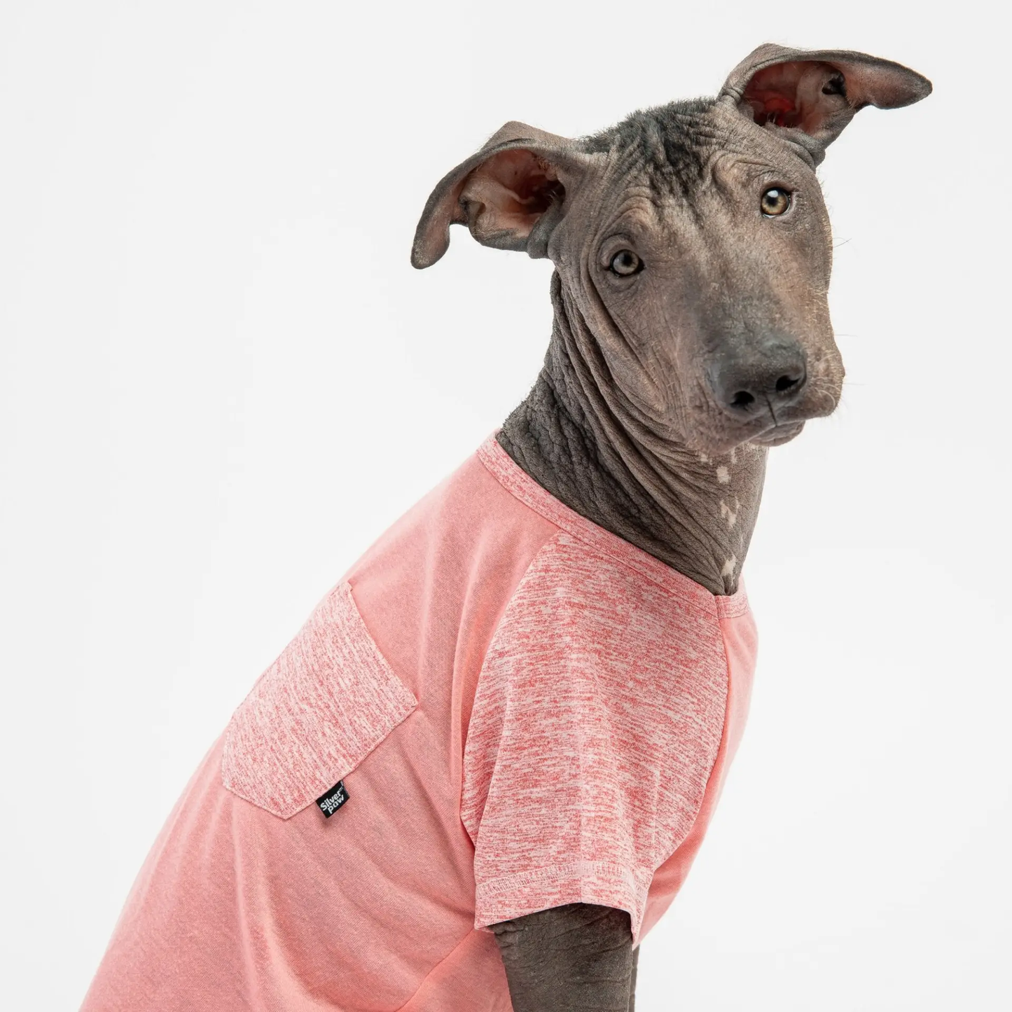 Urban Fit Dog Tee - Pink soft dog t-shirt