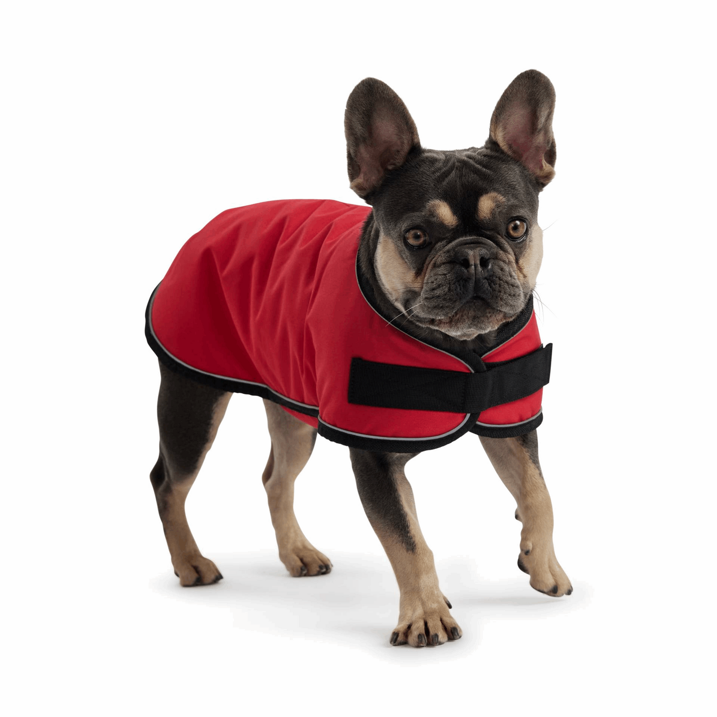 Cosy Pooch Blanket Jacket - Red