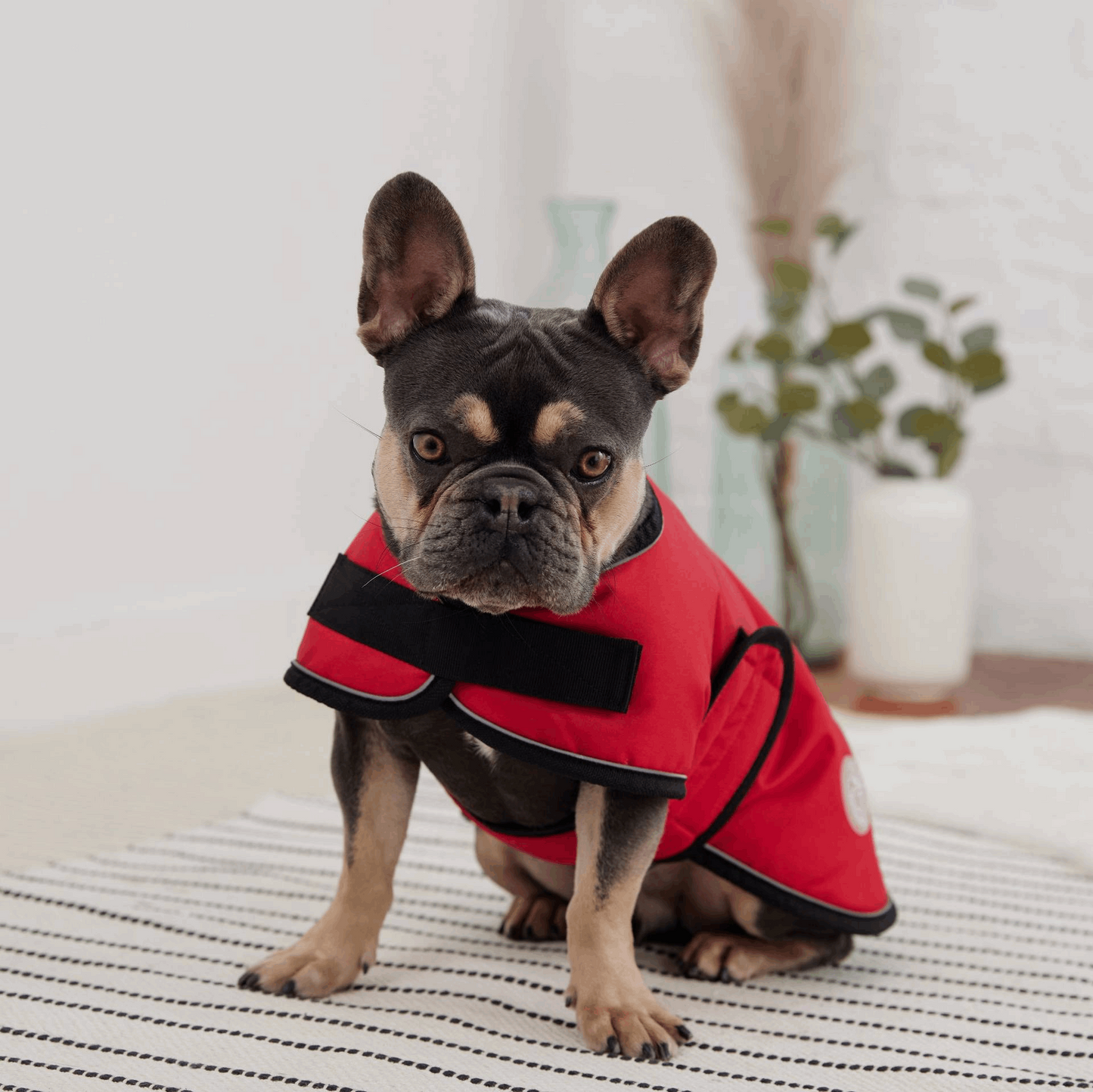 Cosy Pooch Blanket Jacket - Red