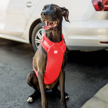 Cosy Pooch Travel Harness - Red