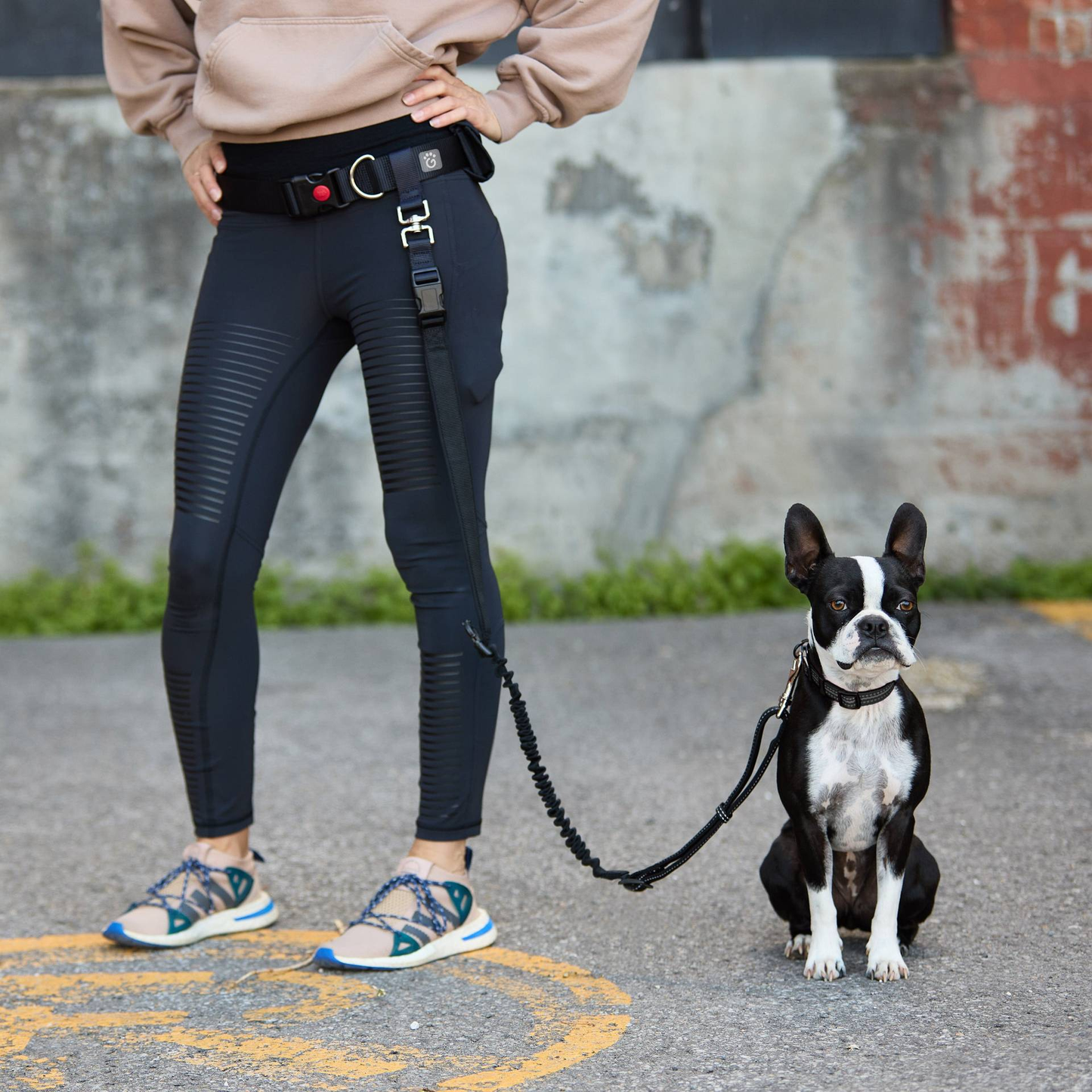 Cosy Pooch Waist Belt & Bungee Leash