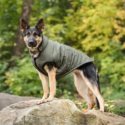 Cosy Pooch US Army Dog Parka - Dark Camo