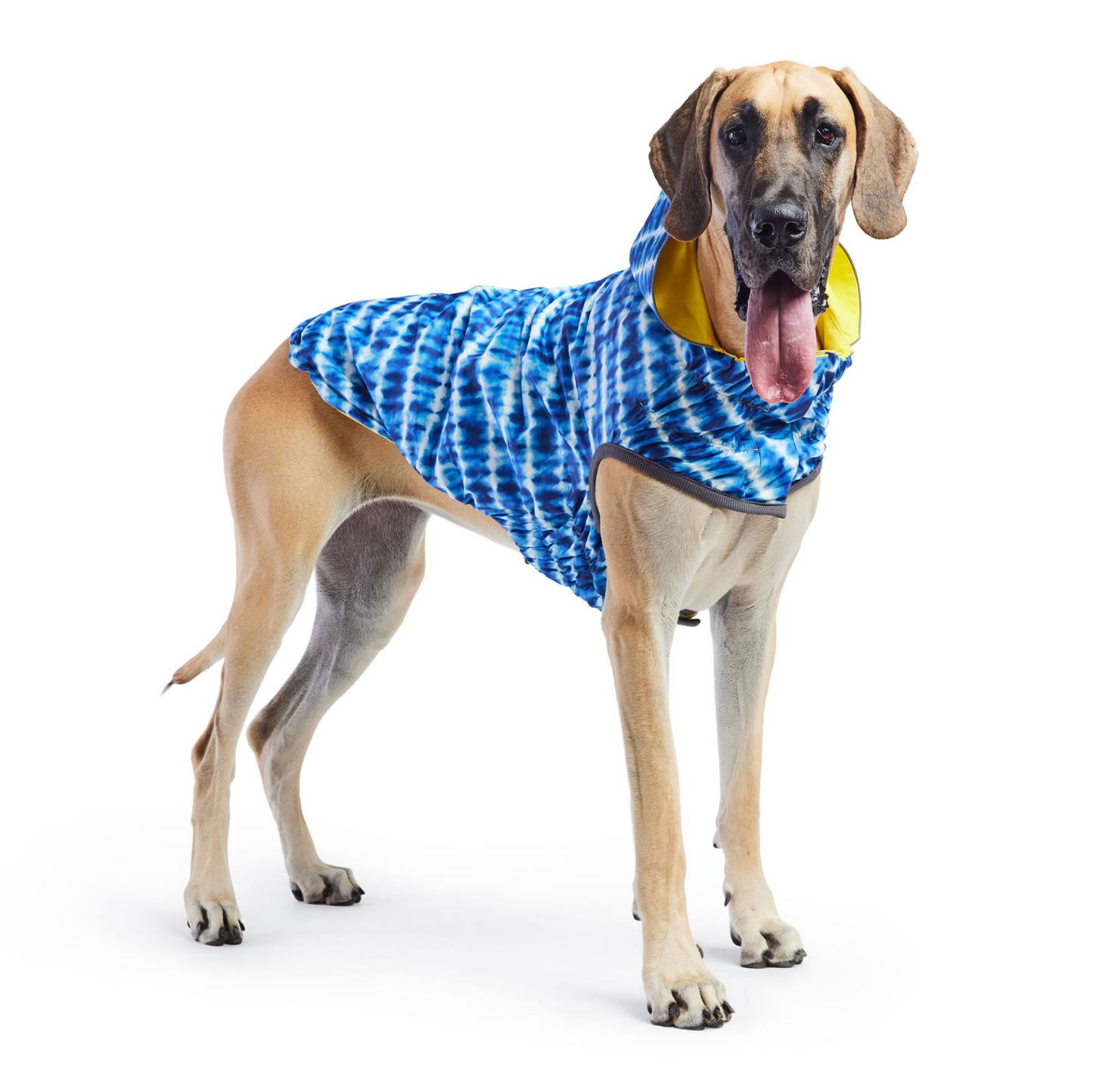 Reversible Dog Raincoat - Yellow/Blue