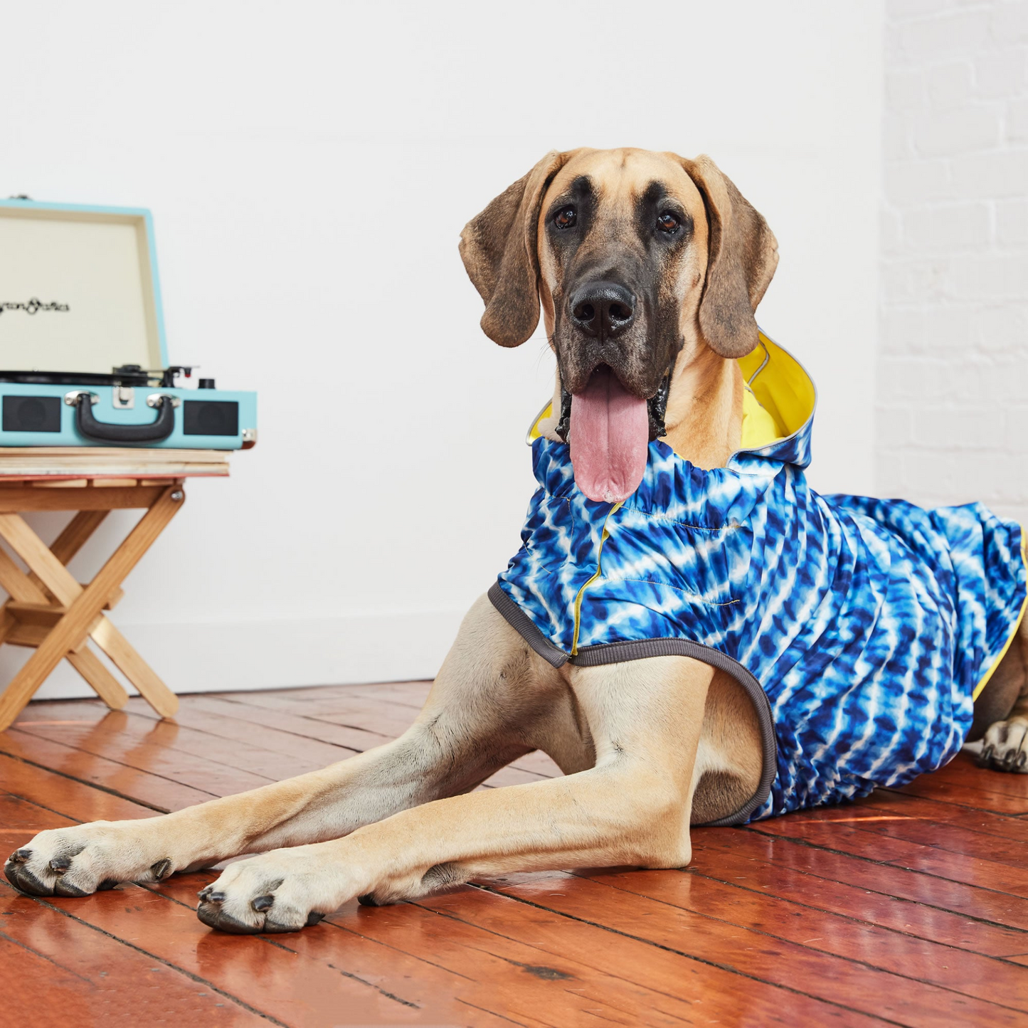 Reversible Dog Raincoat - Yellow/Blue