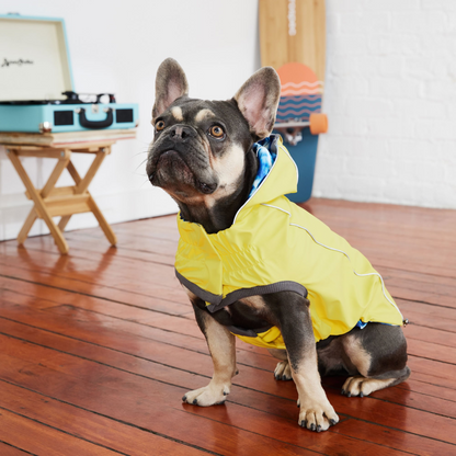 Reversible Dog Raincoat - Yellow/Blue