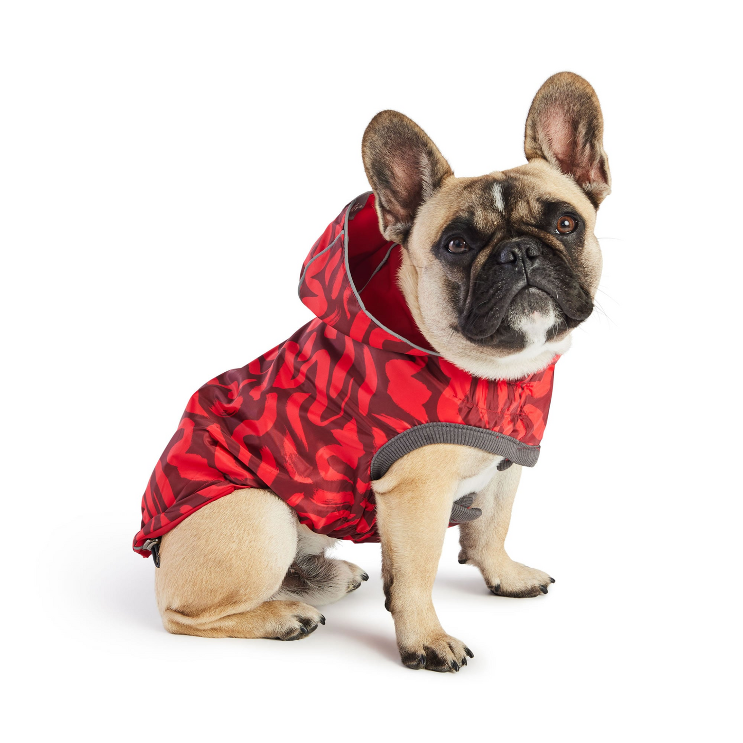 Reversible Dog Raincoat - Red Swirl