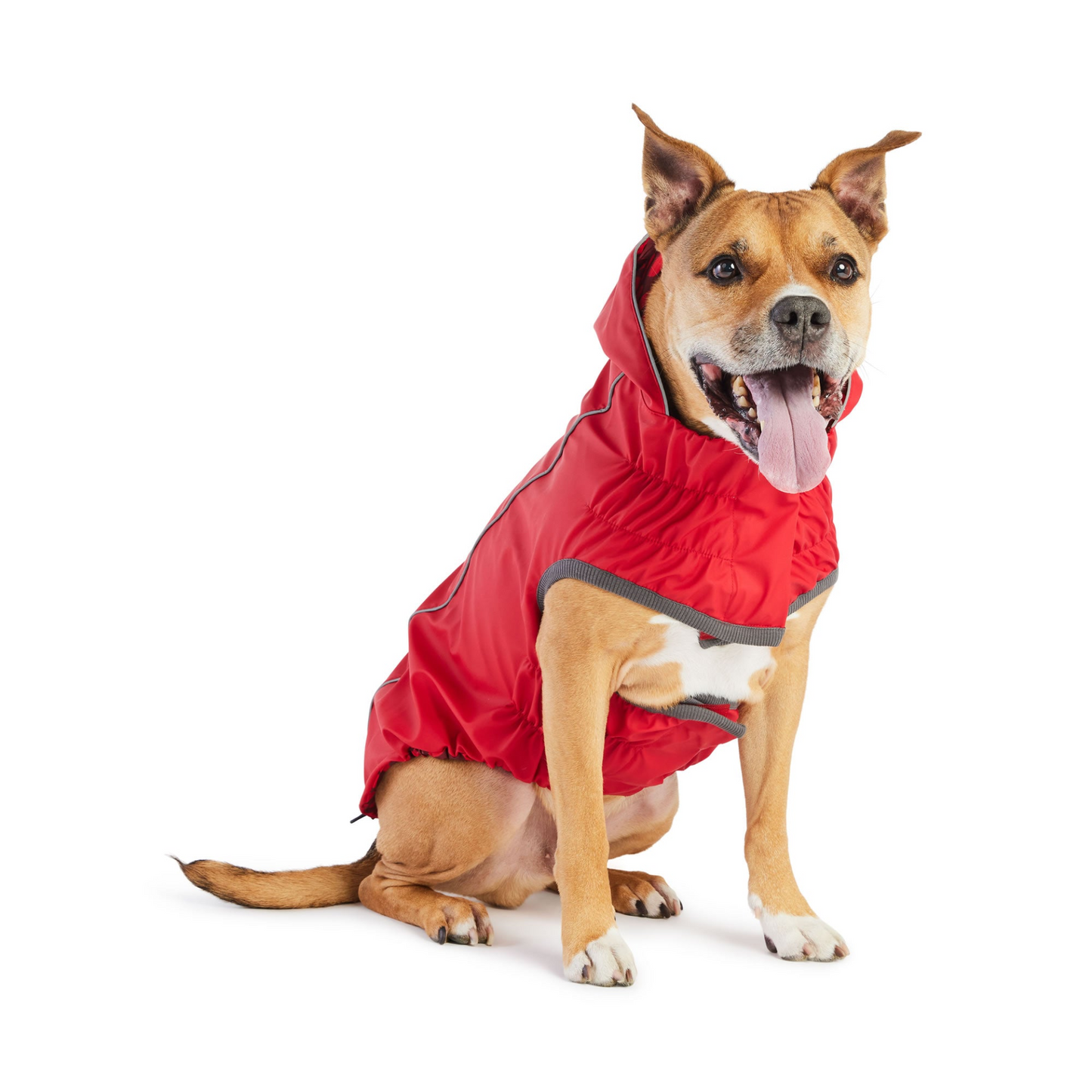 Reversible Dog Raincoat - Red Swirl