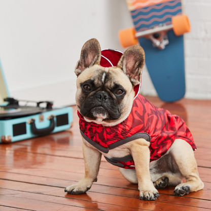 Reversible Dog Raincoat - Red Swirl