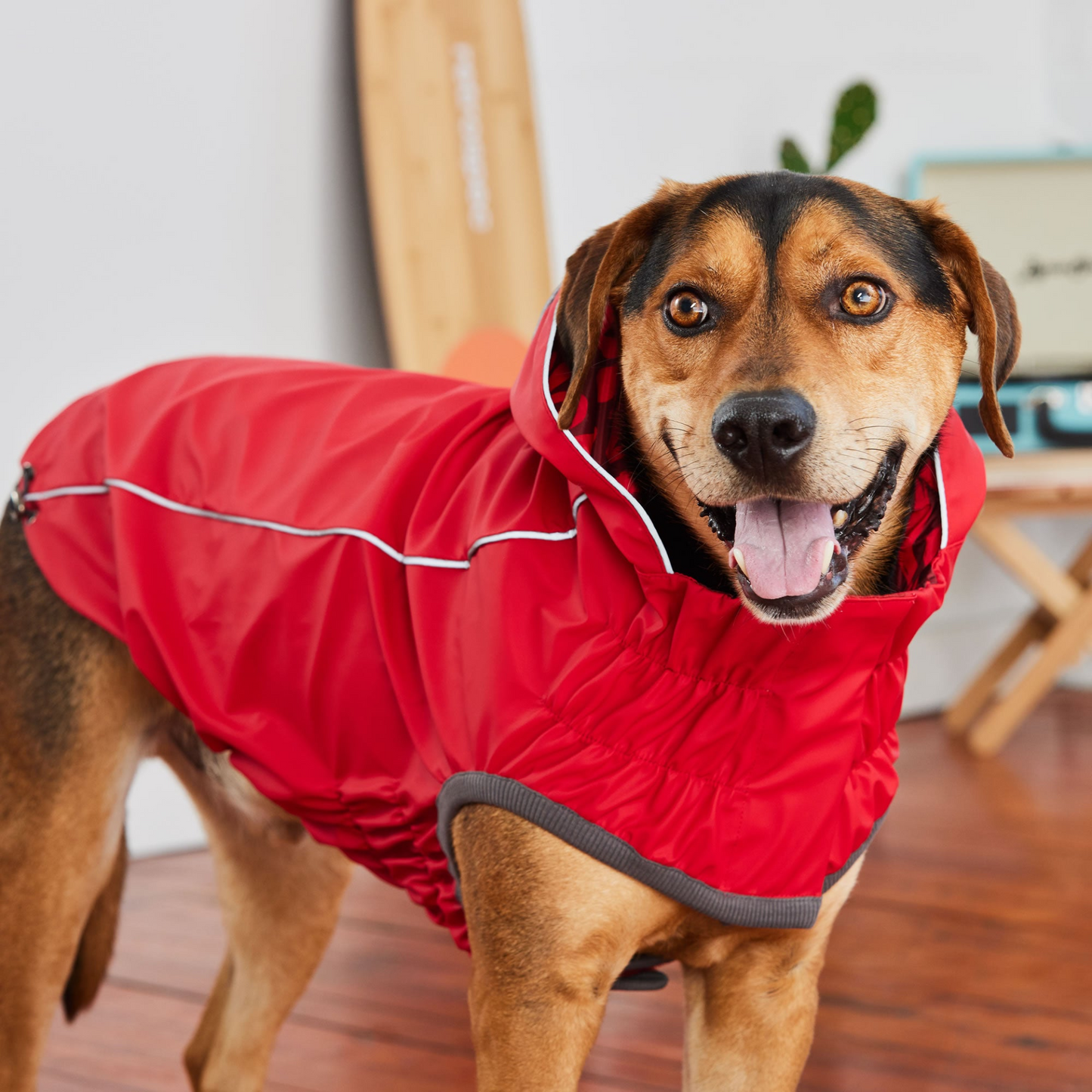 Reversible Dog Raincoat - Red Swirl