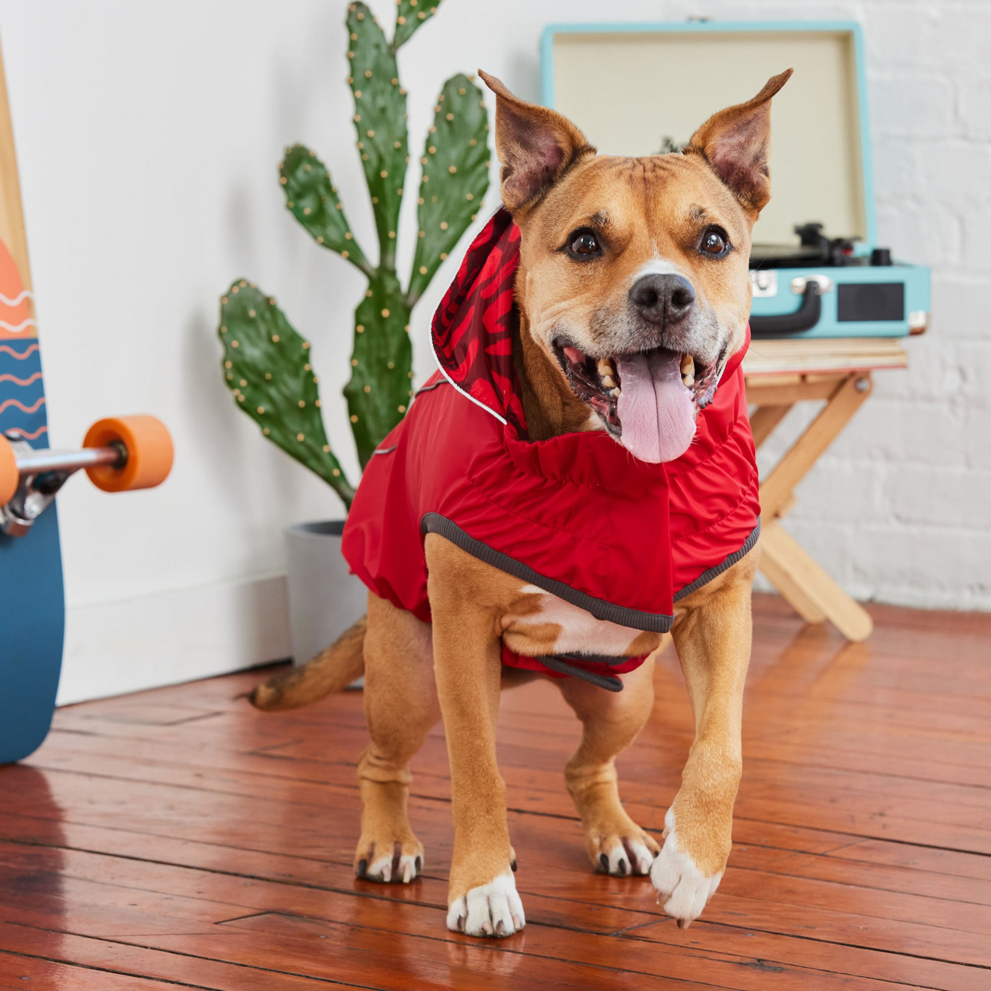 Reversible Dog Raincoat - Red Swirl