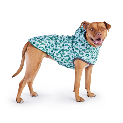 reversible dog raincoat - Green for bull dog