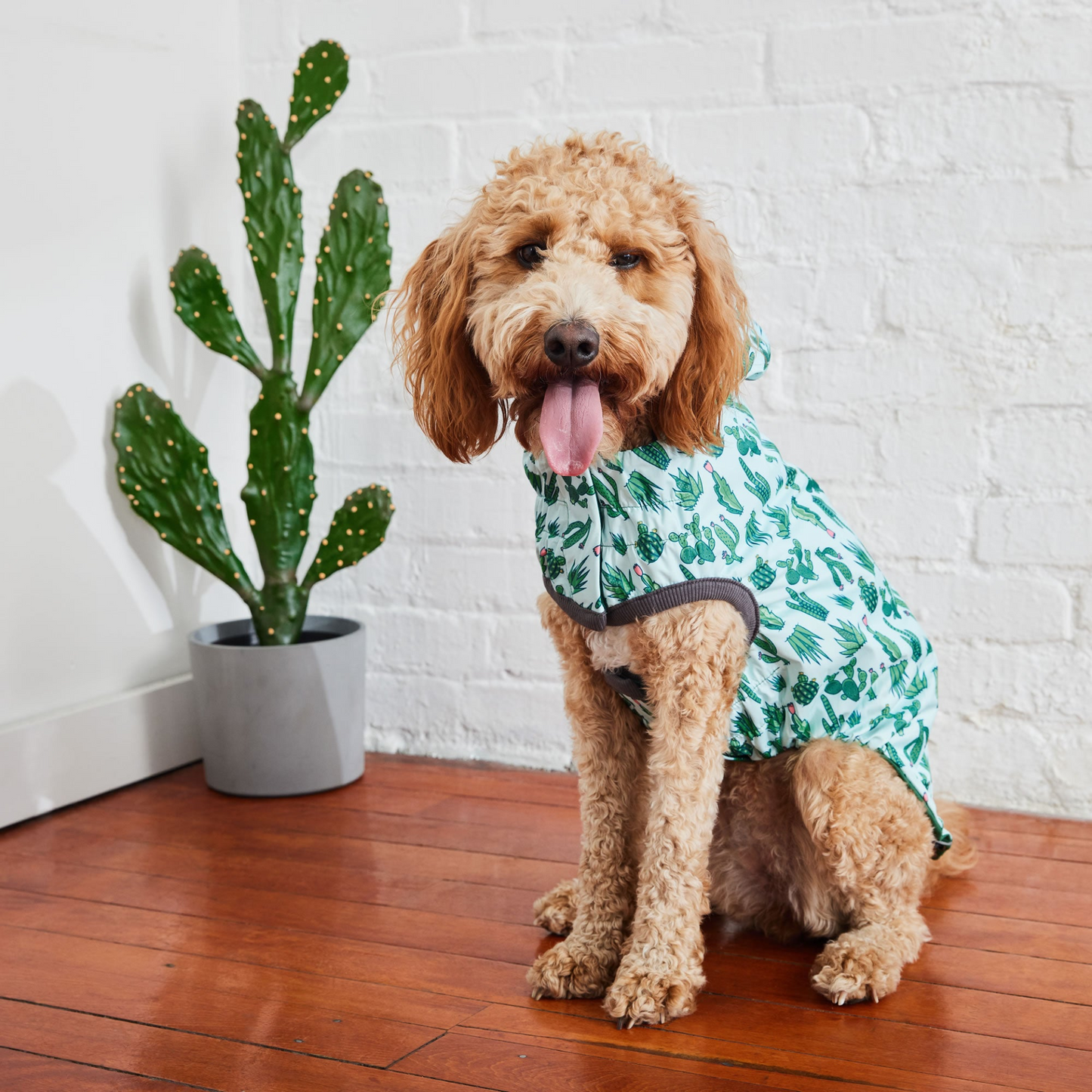 reversible dog raincoat - Green for poodle