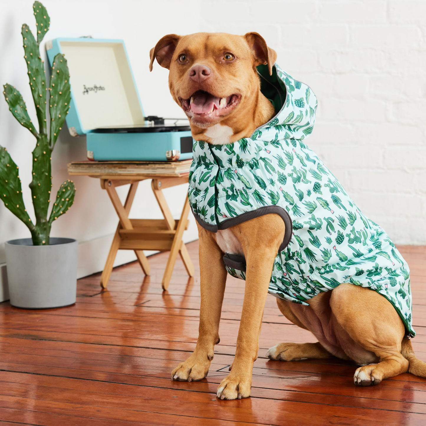 reversible dog raincoat - Green for big dog