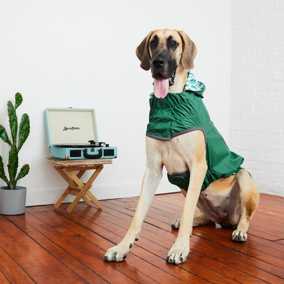 reversible dog raincoat - Green great dane