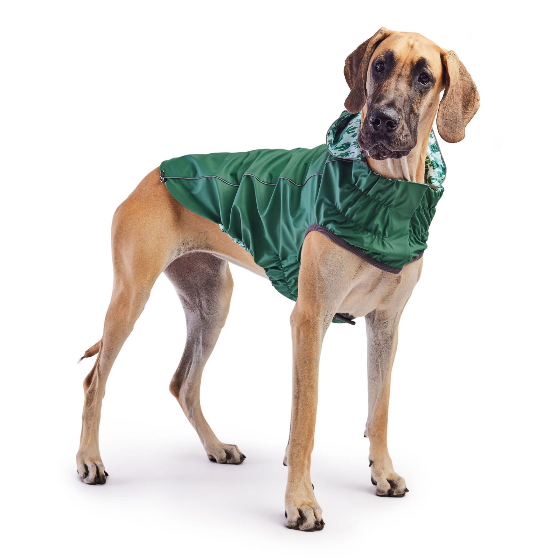 reversible dog raincoat - Green for great dane