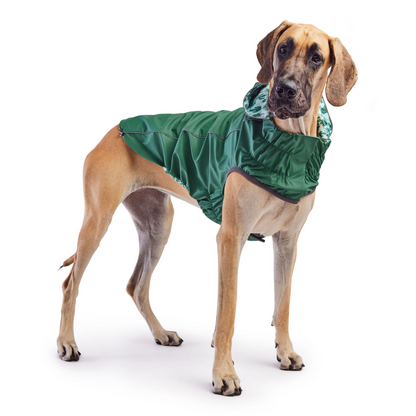 reversible dog raincoat - Green for great dane