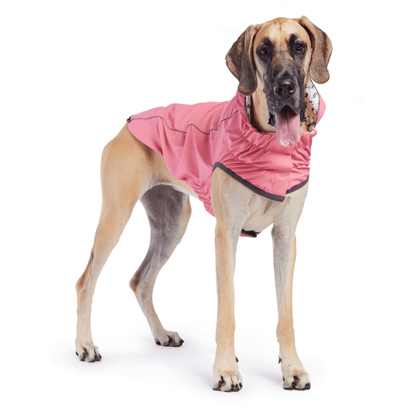 Reversible Dog Raincoat - Pink/Pink | Dog Jacket 