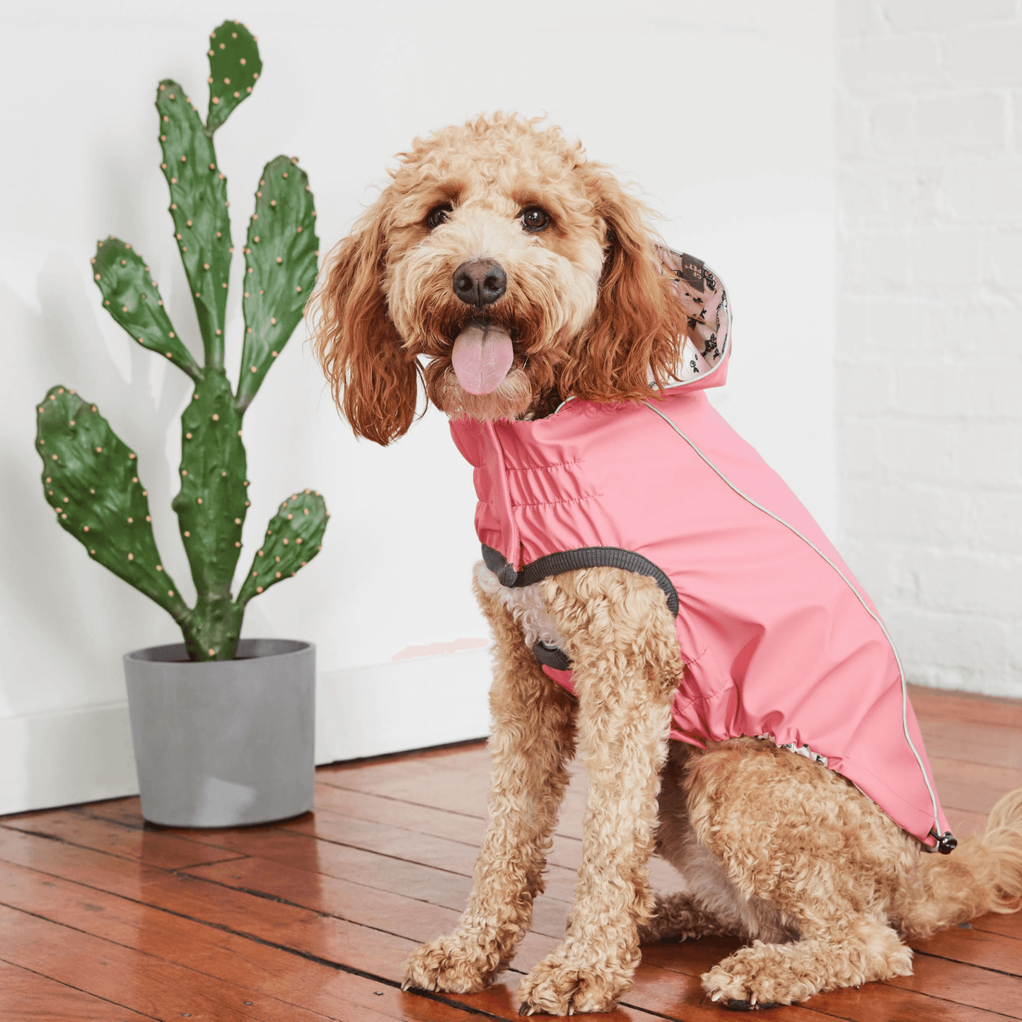 Reversible Dog Raincoat - Pink/Pink | Dog Jacket 