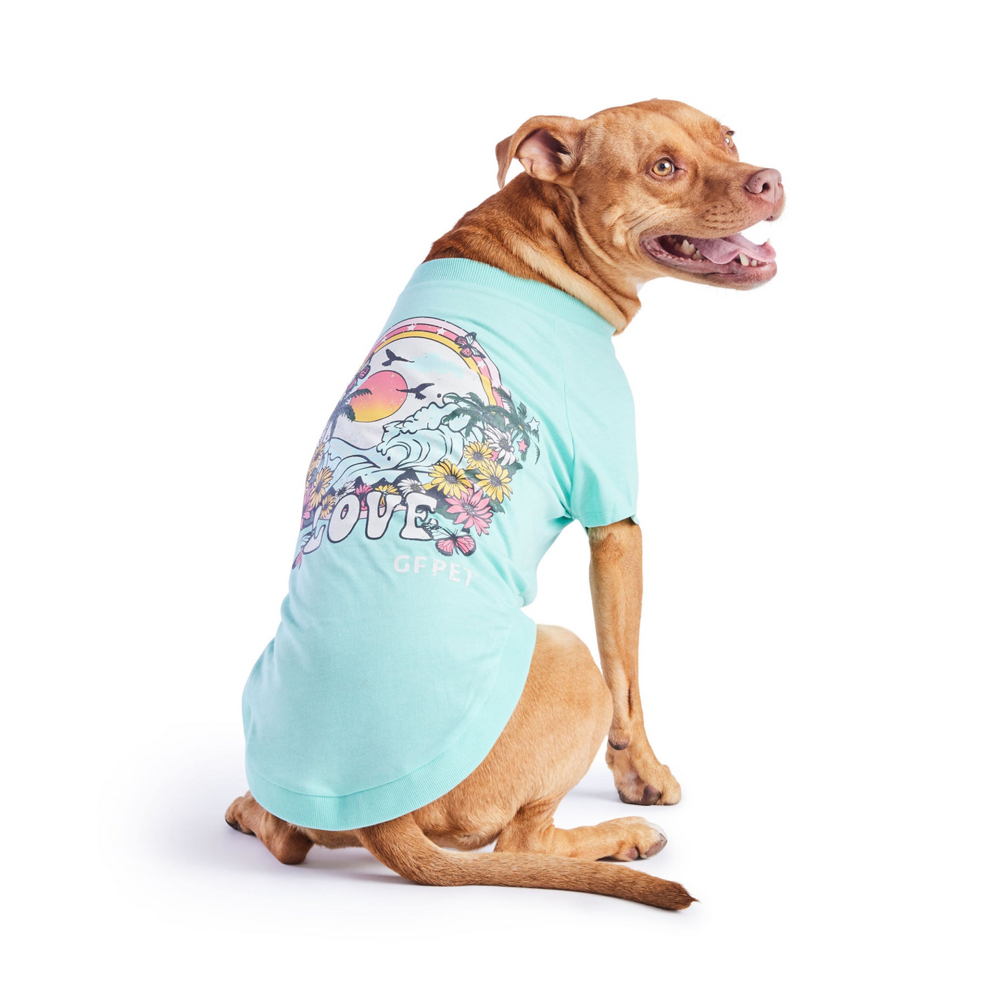 Graphic Dog Tee - Aqua