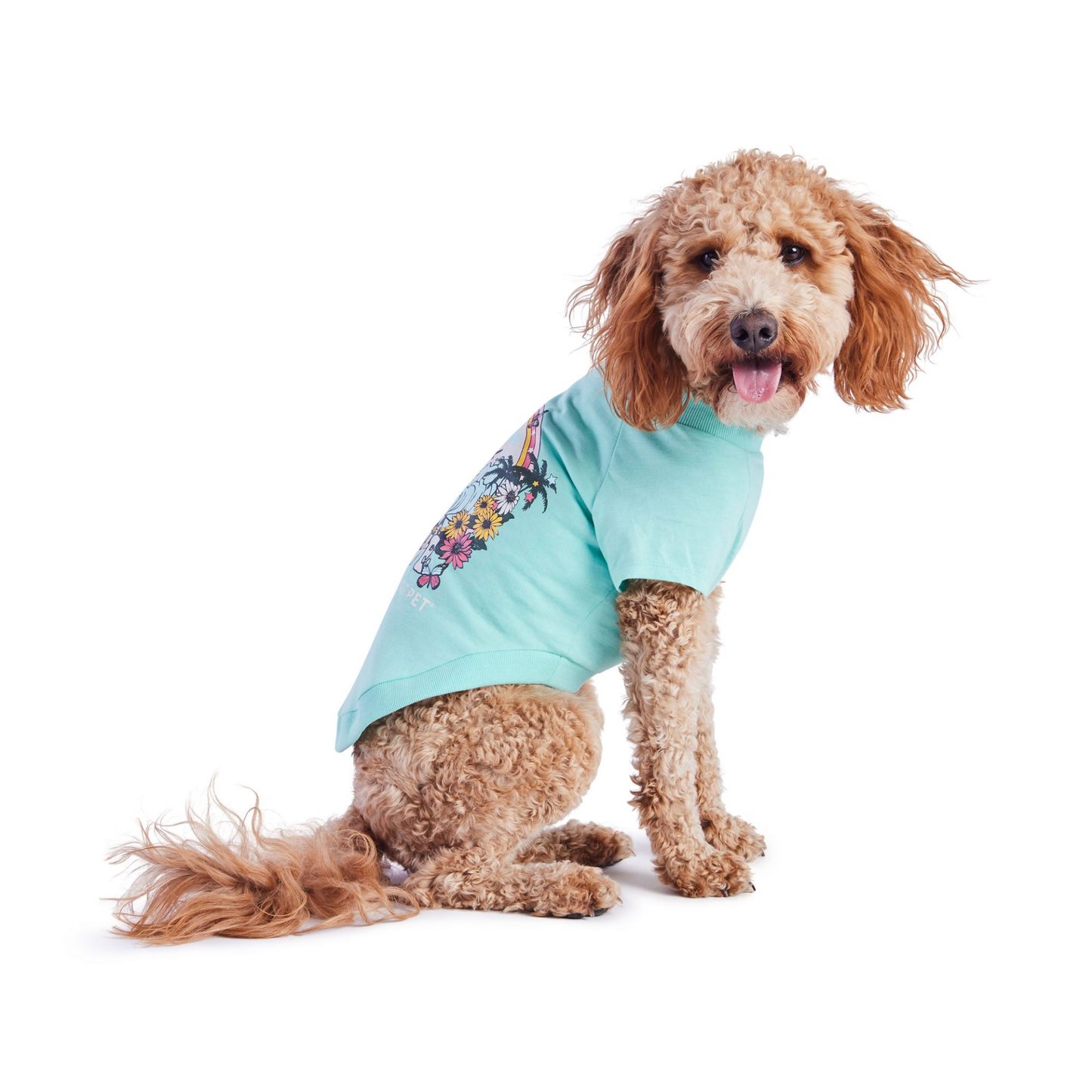 Graphic Dog Tee - Aqua