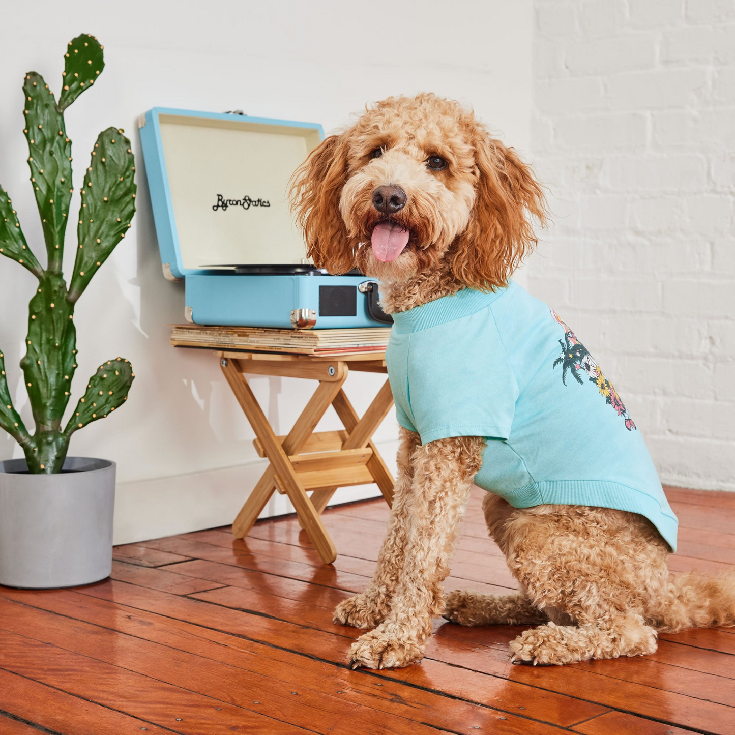 Graphic Dog Tee - Aqua