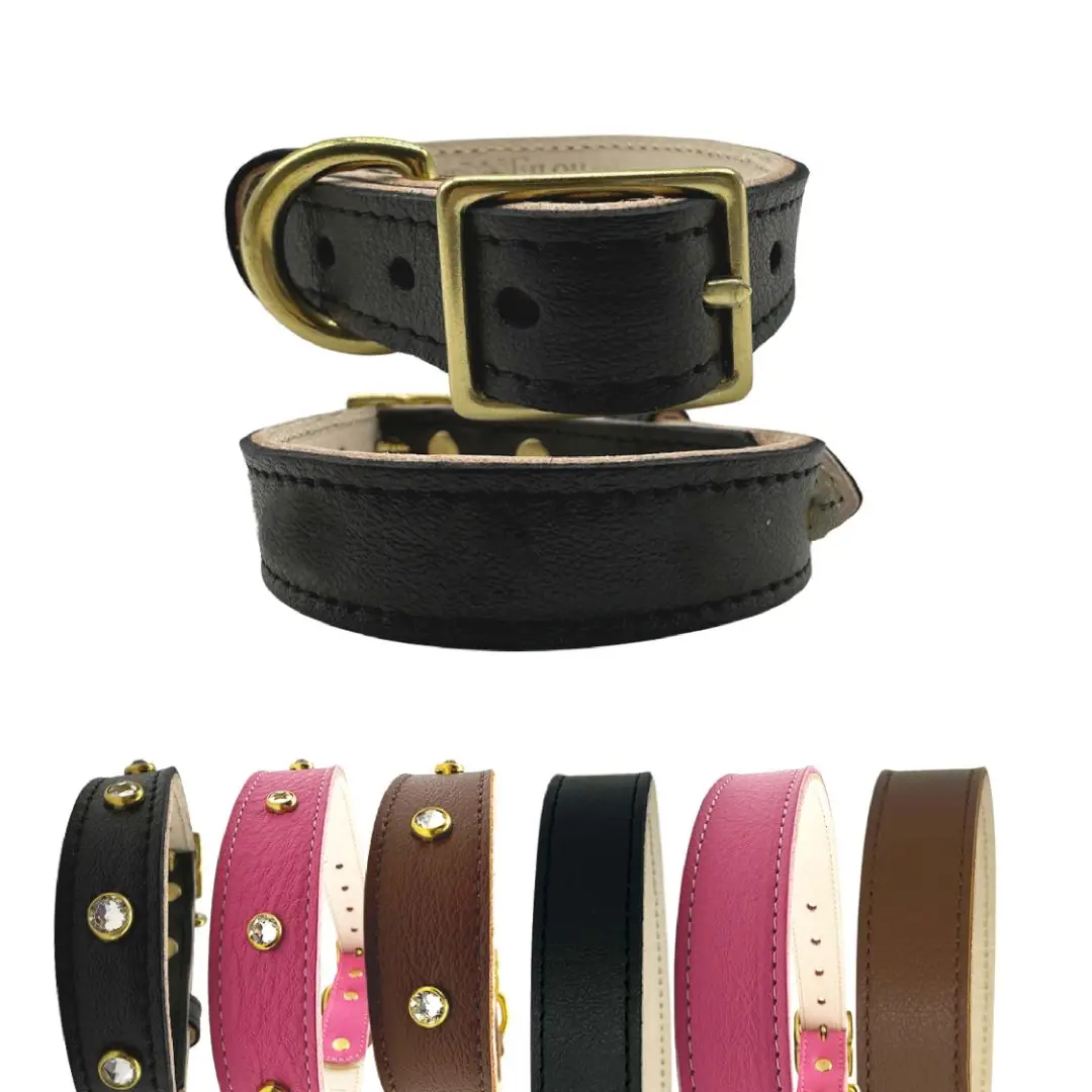 designer Leather Dog Collar