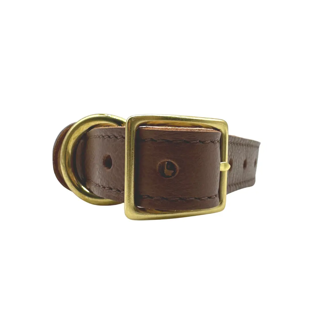 designer Leather Dog Collar