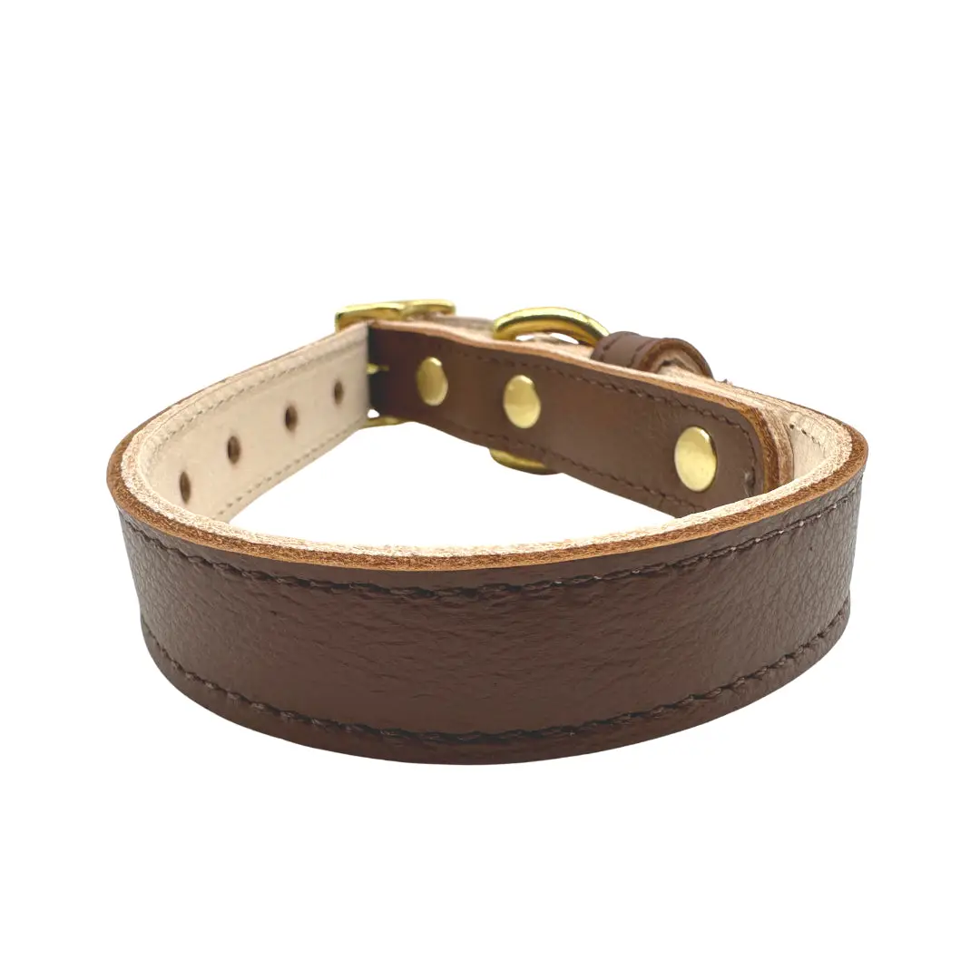 Plain Leather Dog Collar for large dogs