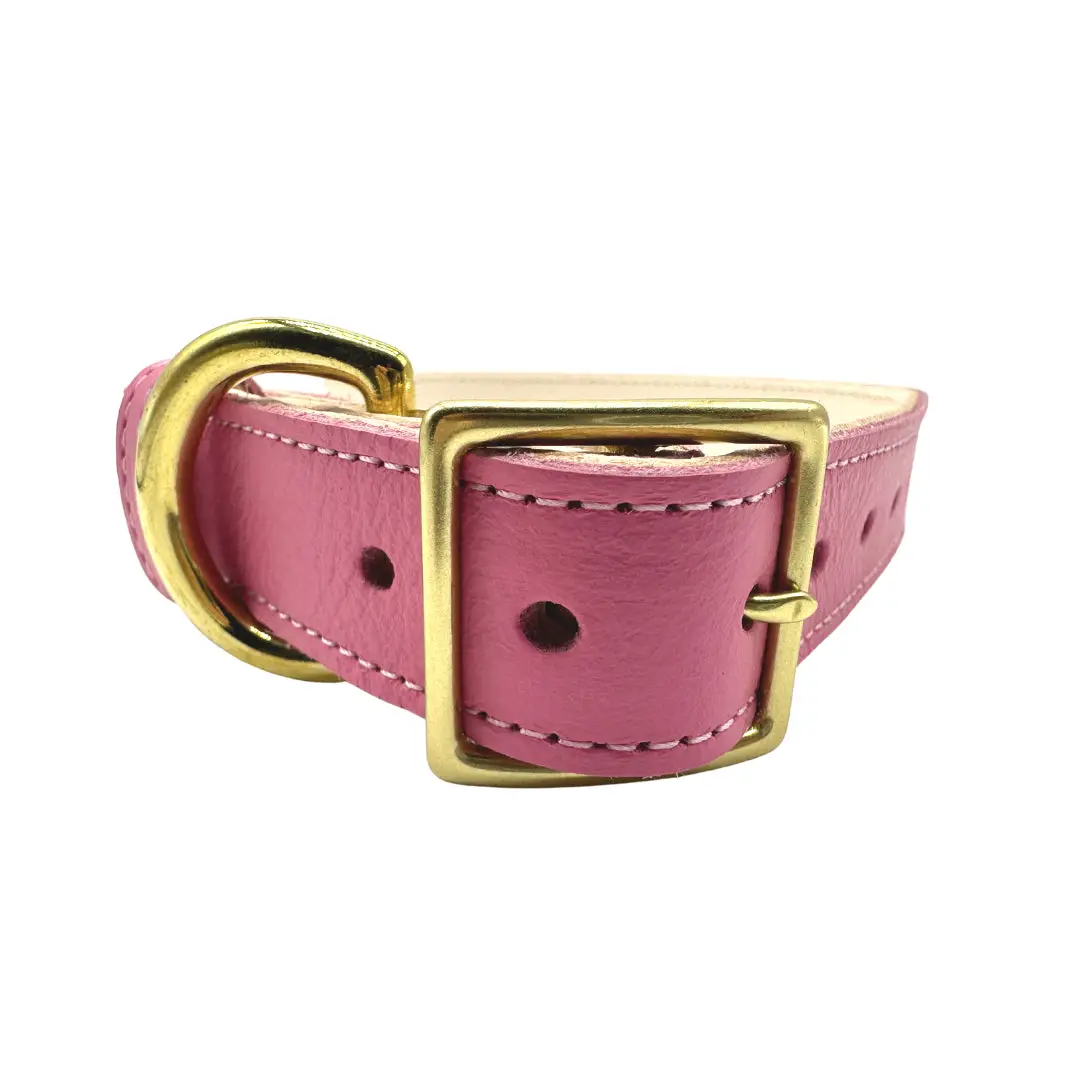 designer Plain Leather Dog Collar