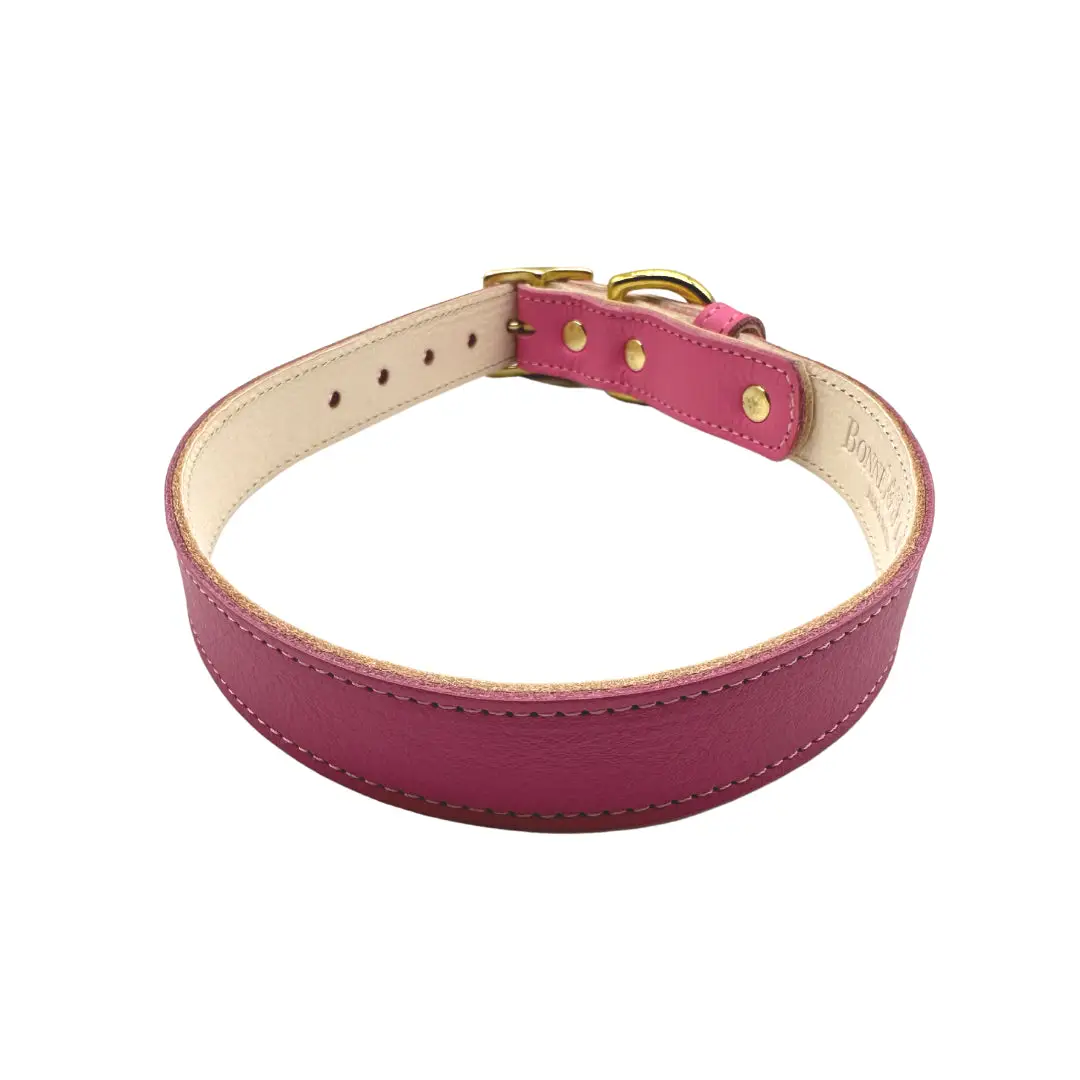 designer Leather Dog Collar