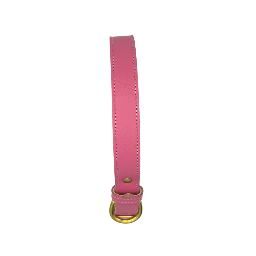 Leather Dog Collar for girl dogs