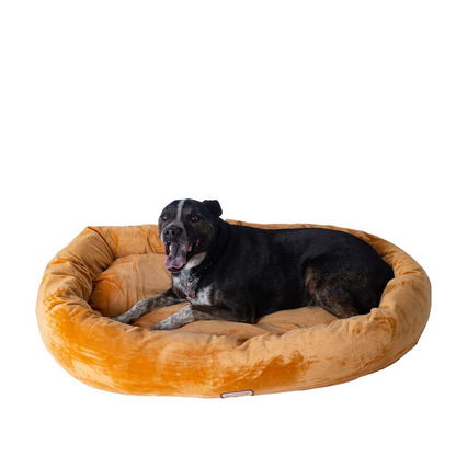 Velvet Bolstered Dog Couch - Large | Memory Foam Dog Bed