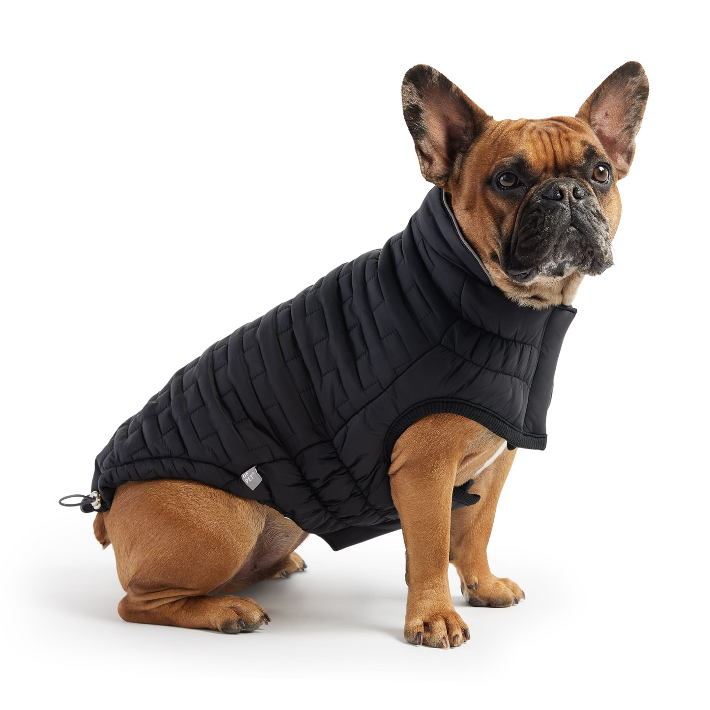 Reversible Chalet Dog Jacket - Black