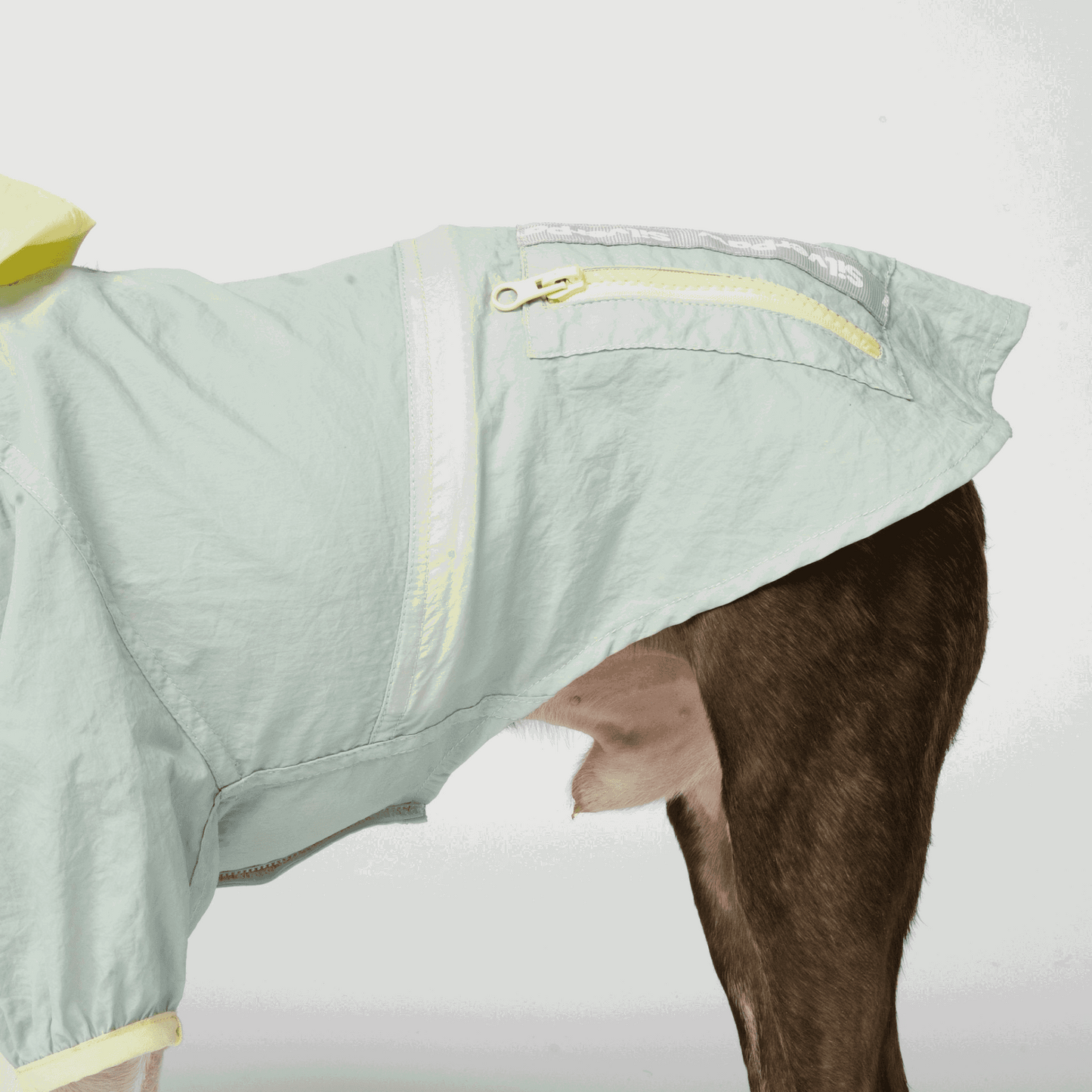 waterproof Dog rain suit