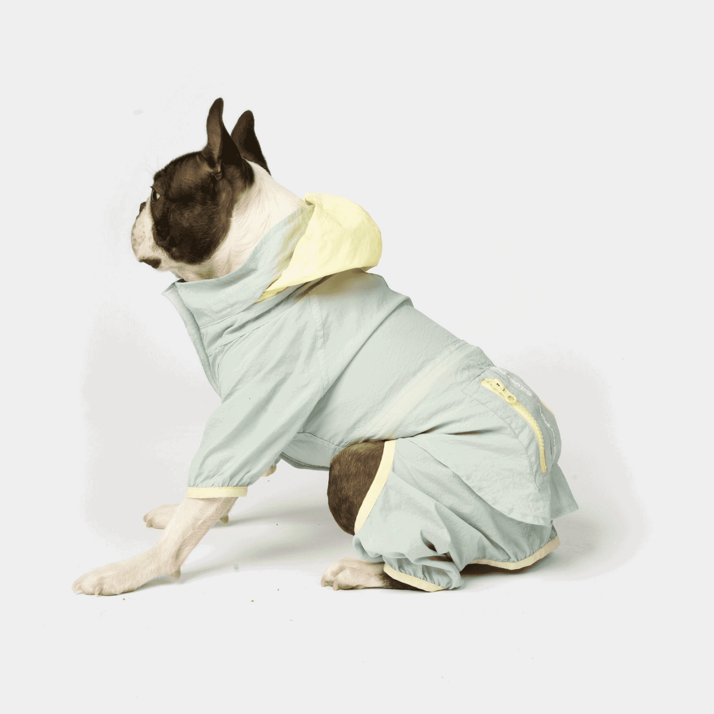 Dog rain suit