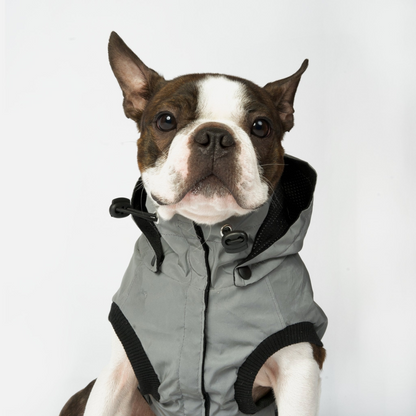 Reflective dog Raincoat