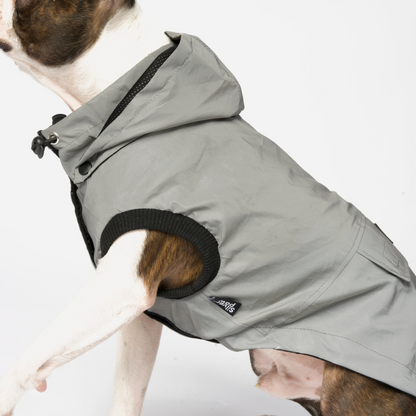 Reflective dog Raincoat